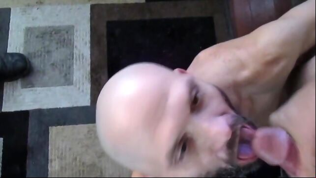 Gay Xnxx - Saltlakecockslave Closed Mouths Dont Get Fed bear